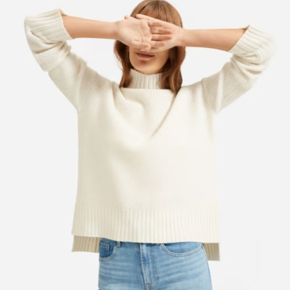 Everlane Cream Turtleneck Sweater
